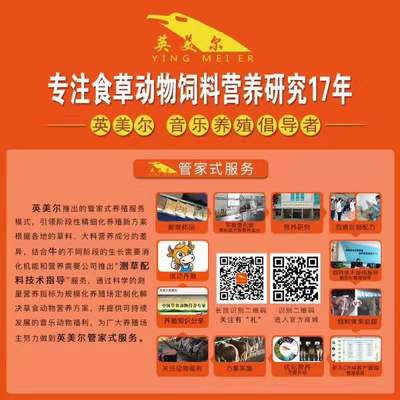 飼料與飼料添加劑 現(xiàn)代畜牧業(yè)的營(yíng)養(yǎng)基石與科技支撐
